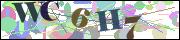 Captcha word
