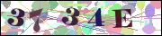 Captcha word