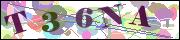 Captcha word