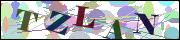 Captcha word