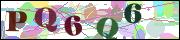 Captcha word