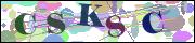 Captcha word