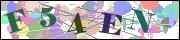 Captcha word