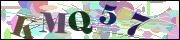 Captcha word