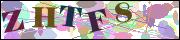 Captcha word