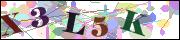 Captcha word