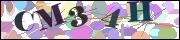 Captcha word