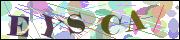Captcha word
