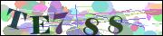 Captcha word